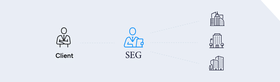 graphic depicting the connections SEG has for their clients